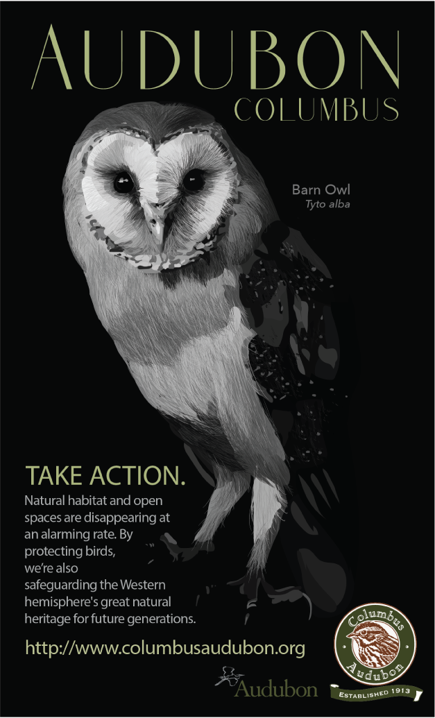 Audubon Columbus - Barn Owl Poster